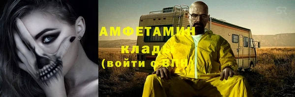 эйфоретик Богданович